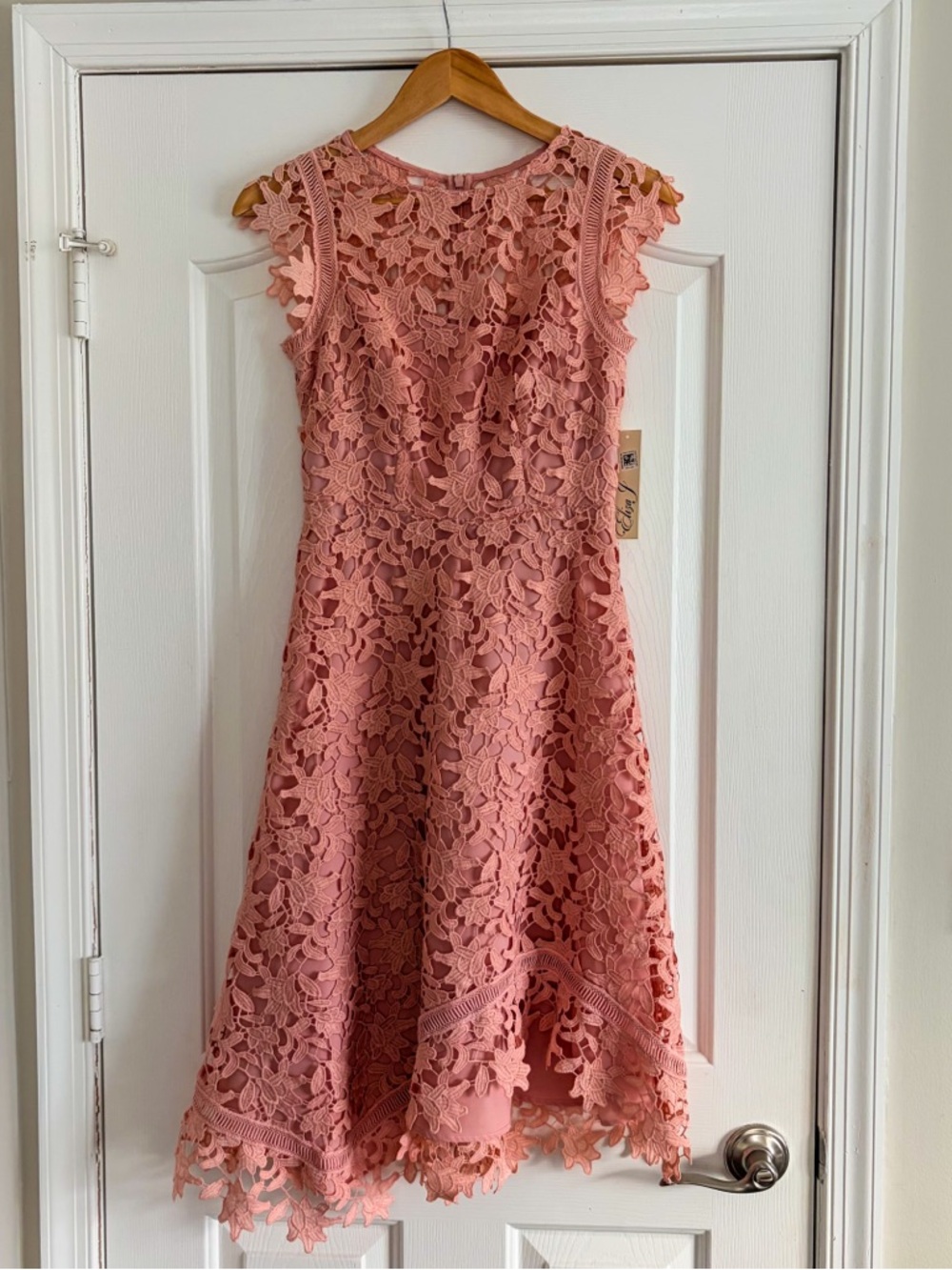 Eliza J Sleeveless Guipure Lace Sheath Dress with Scalloped Trim NWT 0 Formal